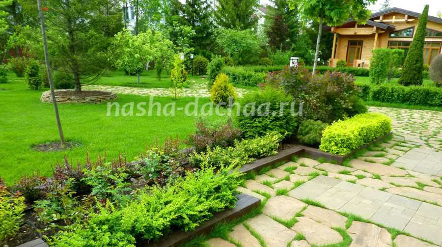Озеленение участка: выбор и размещение растений для создания уютного сада