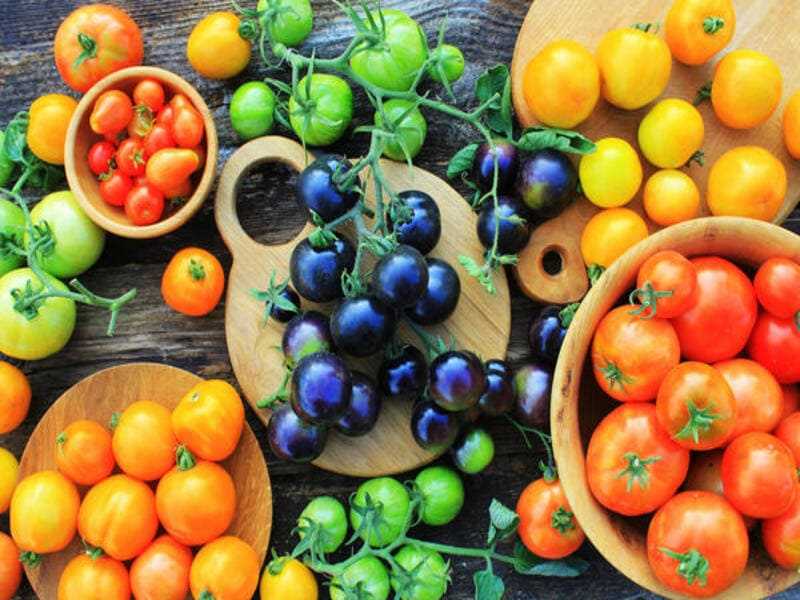 Сорта томатов: самые вкусные и урожайные сорта для своего сада